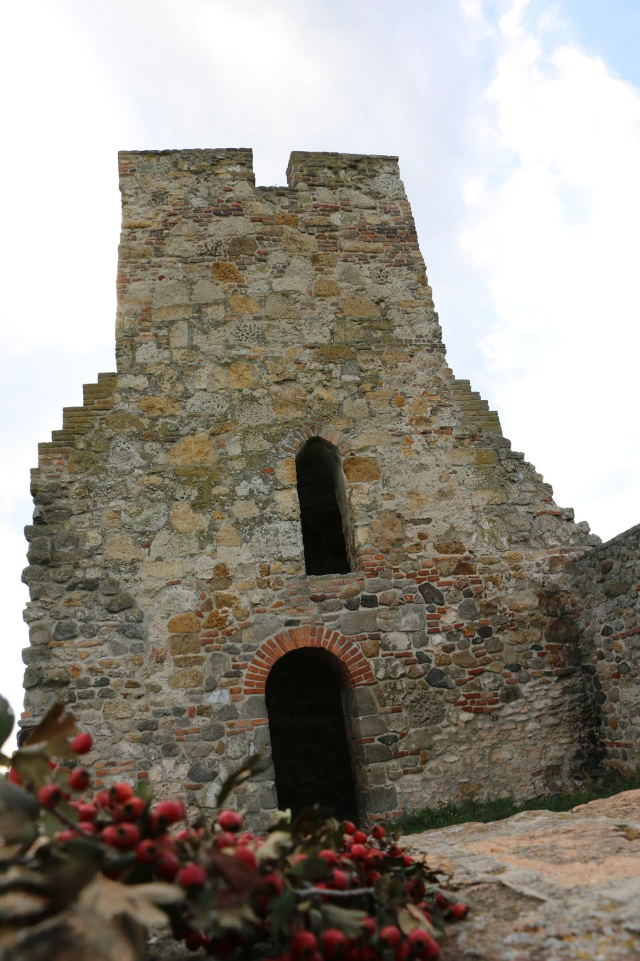 Csonka-torony árpádkori templomrom - image description