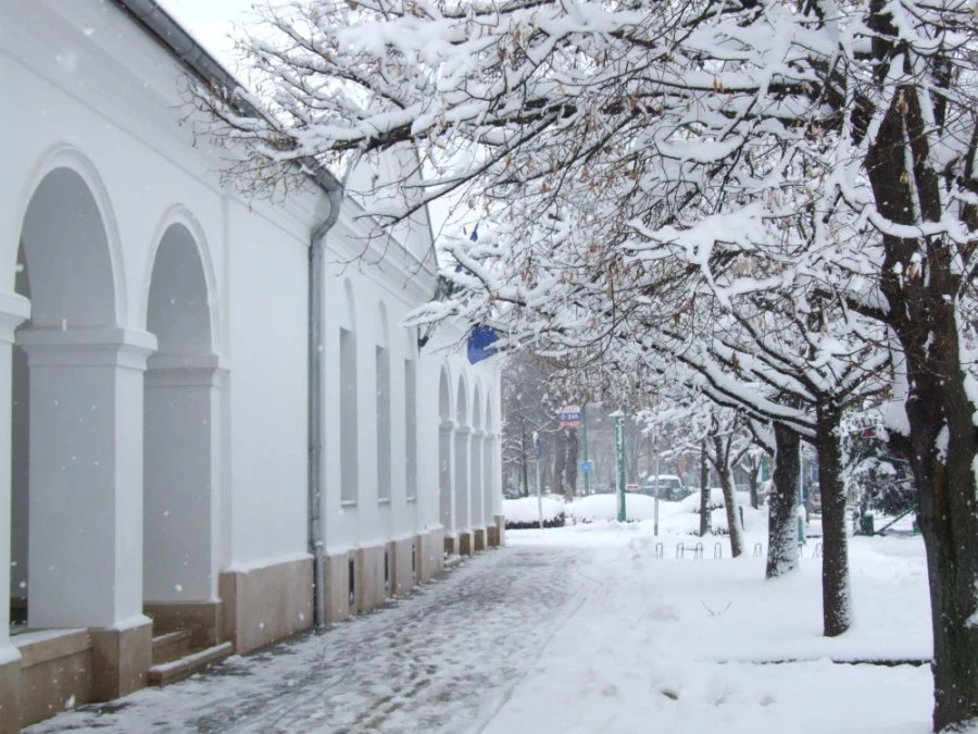 Hattyúház - image description