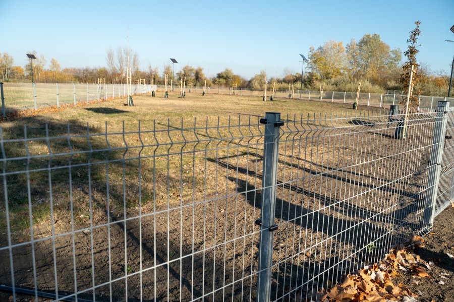 A Vasas pálya újjászületik Félegyházán - fotódokumentáció - image description