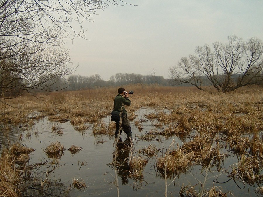 Őrjeg - image description