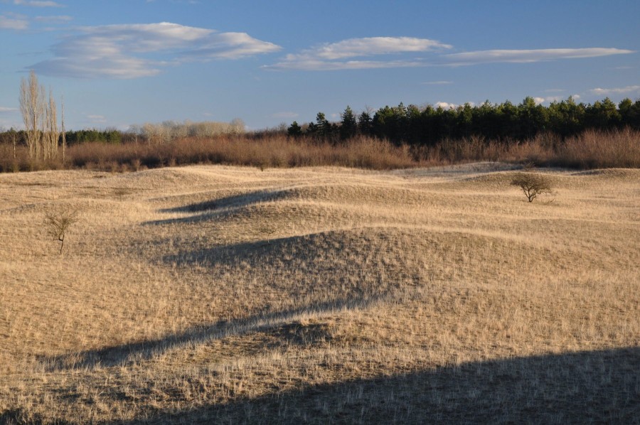 Őrjeg - image description