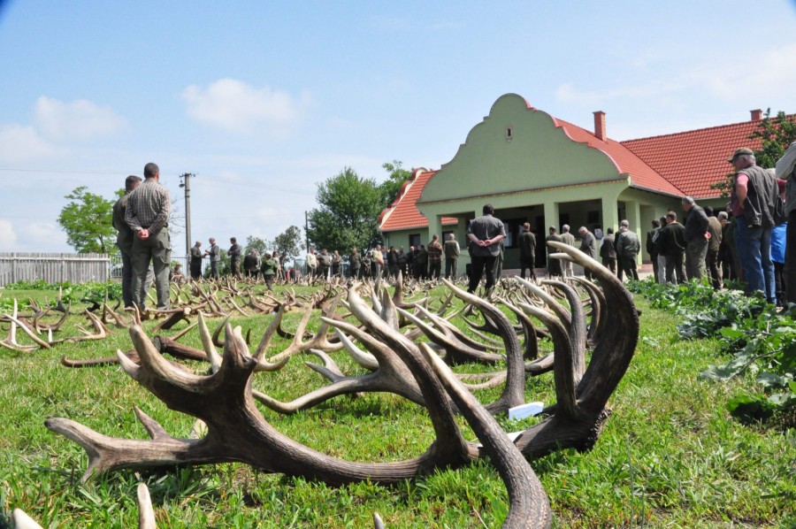 Őrjeg - image description