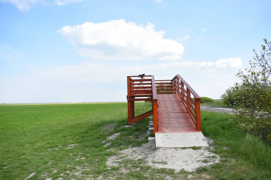 Galéria - Felső-Kiskunság - image description