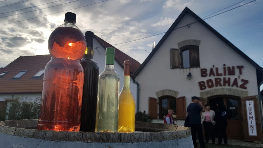 Bács-Kiskun Vármegyei turisztika - image description