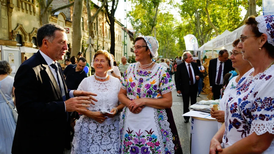 Vármegye napok - image description