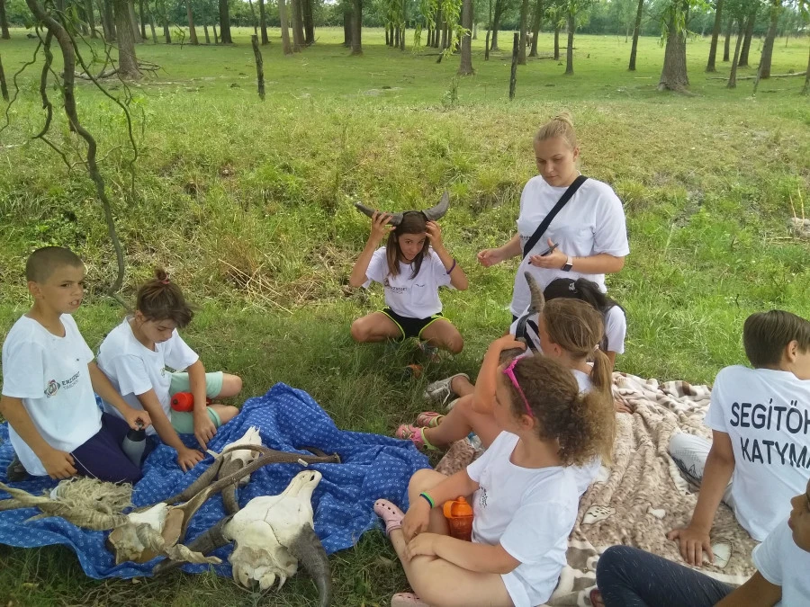 Bácskai Bivalyos Birtok - „Bivalyszafari” – a természet és az állatok gyógyító ereje - image description