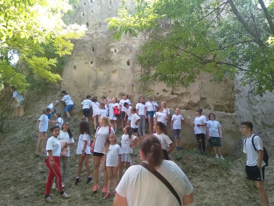 Bácskai Bivalyos Birtok - „Bivalyszafari” – a természet és az állatok gyógyító ereje - image description