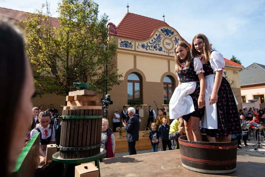 Bács-Kiskun Vármegyei turisztika - image description