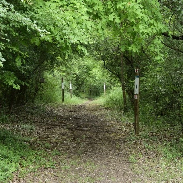 Bugaci körséta – Madarak és Fák útja, Boróka tanösvény – Bugac - image description