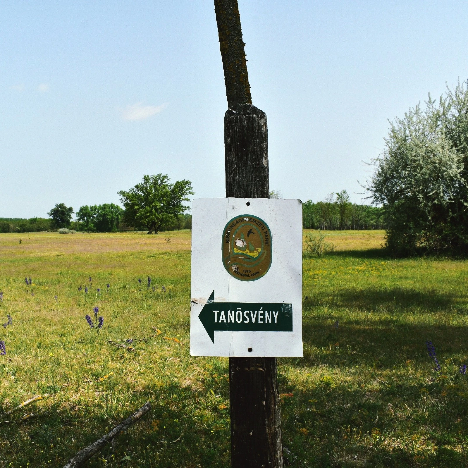 Pimpó tanösvény - Orgoványi rétek (Orgovány) - image description