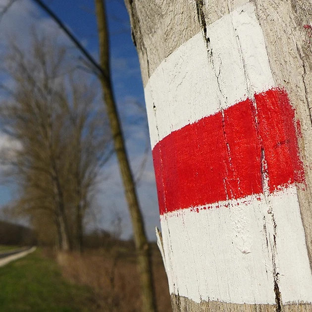 Országos piros sáv - image description