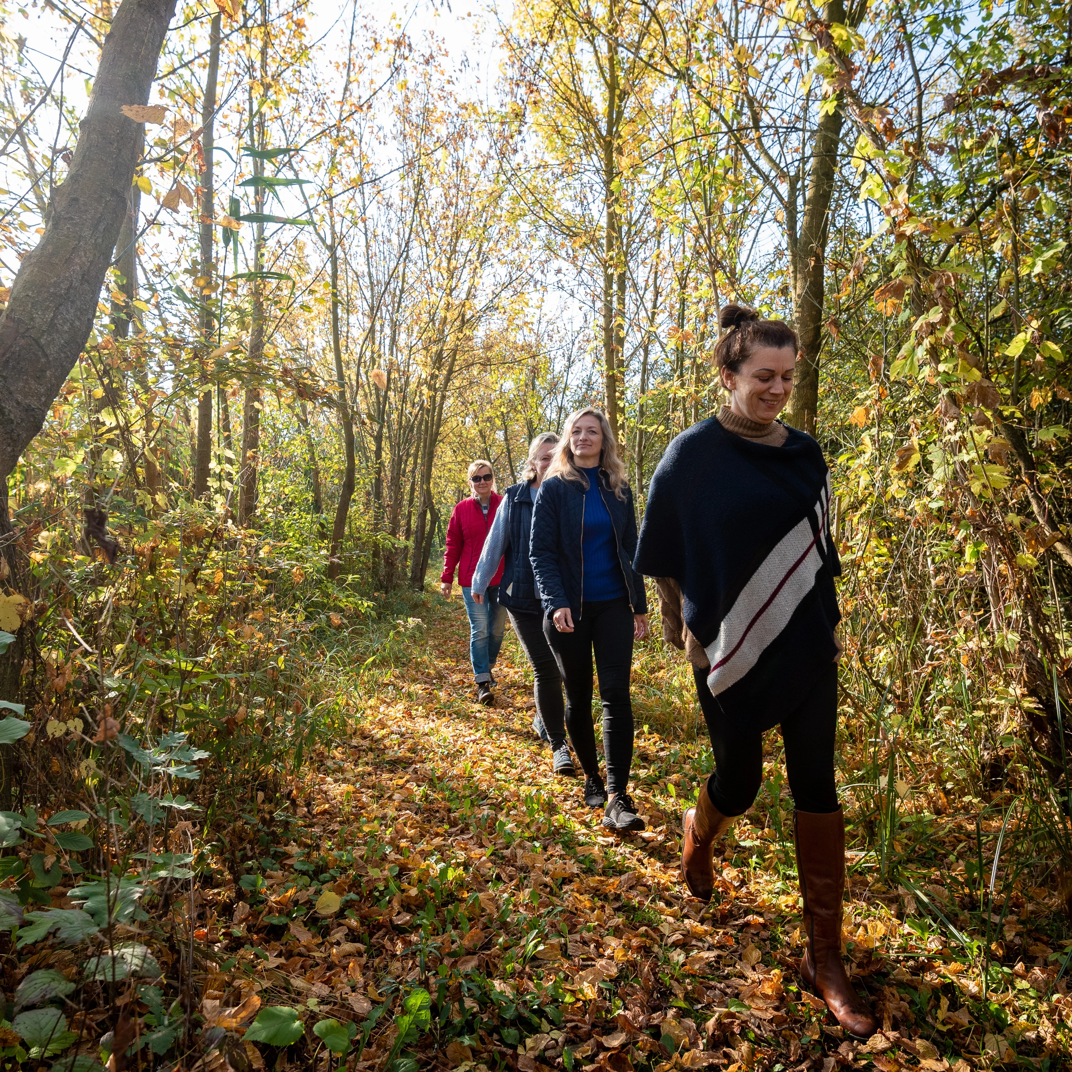Natúra tanösvény – Császártöltési Vörös-mocsár TT (Kecel) - image description