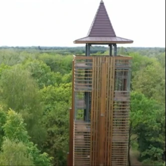A képen egy magas fából épített kilátó van.