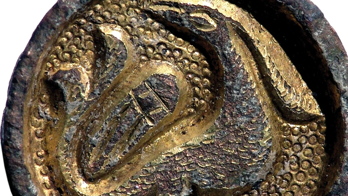 Vármegyénk motívumvilága - Gátéri madáralakos övveret  - image description