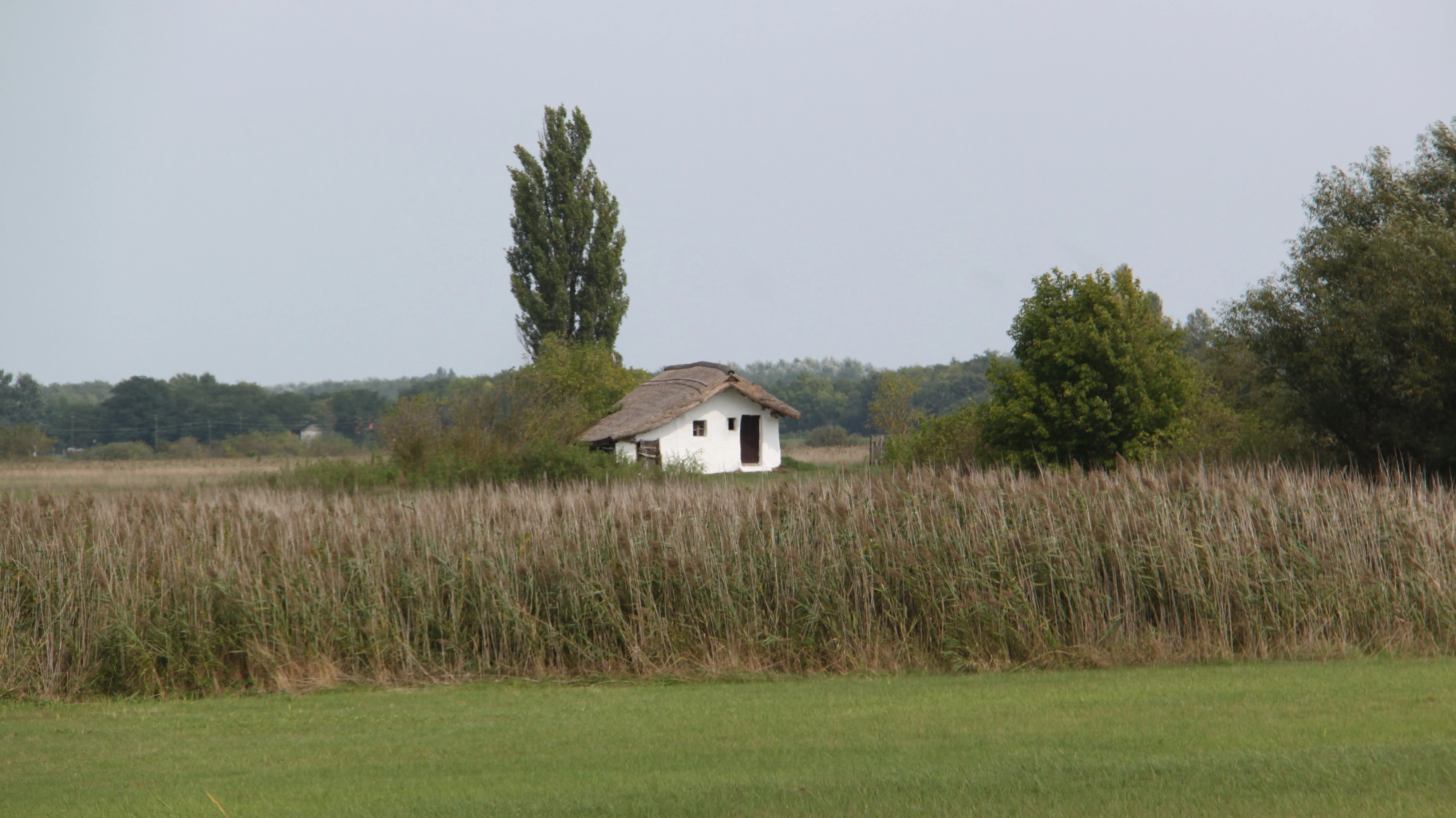 Kondor tó - vizet a tájba - image description