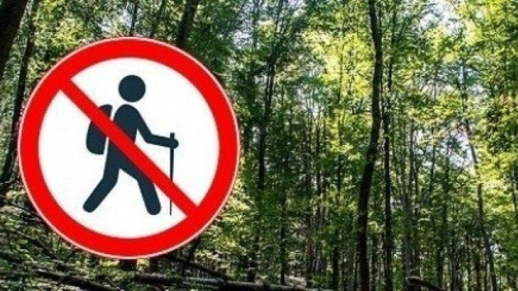 Erdőlátogatási tilalmat rendelt el a Gemenc Zrt. - image description