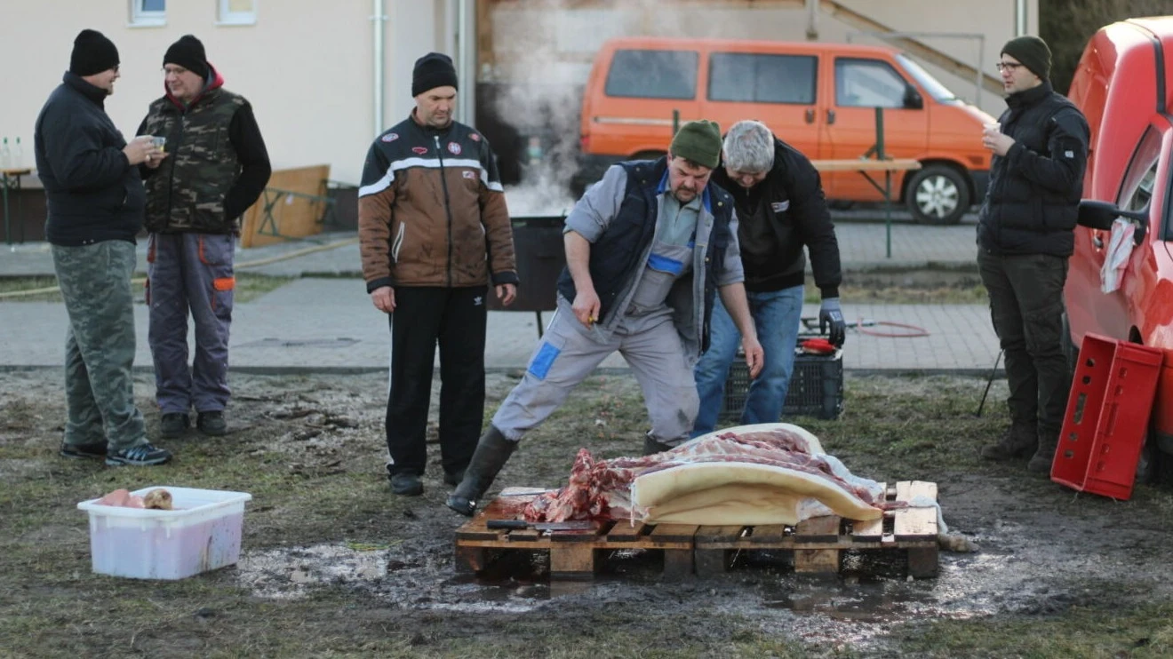 Két hízót vágtak Páhiban a közösségi toron  - image description