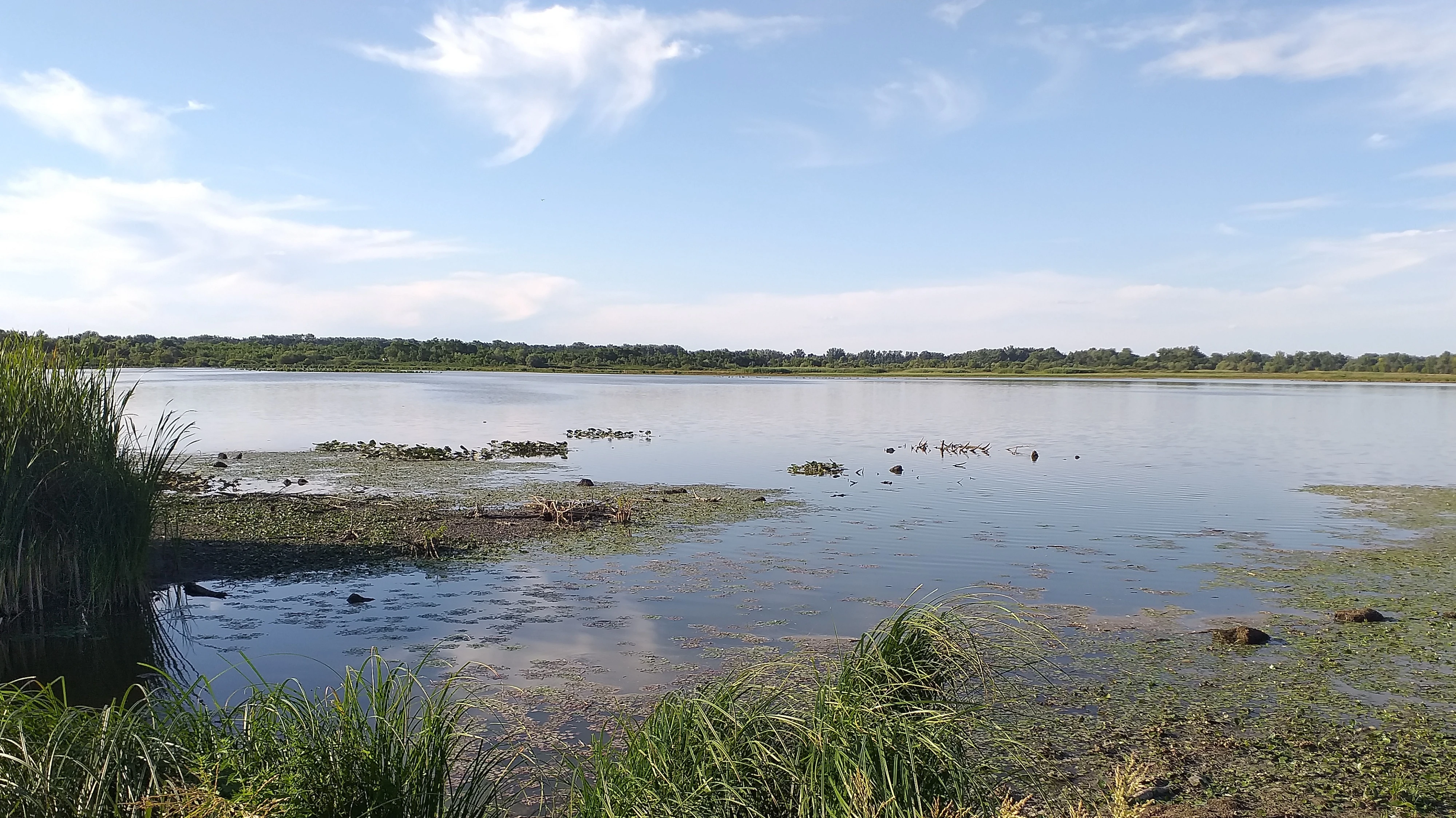 Születésnap - Ötven éves a Kiskunsági Nemzeti Park VIDEÓ - image description