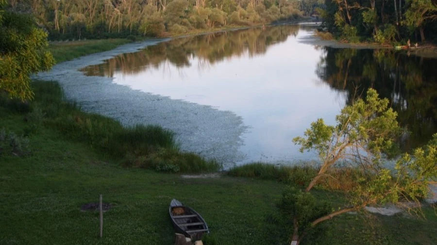 Mártózzon meg a Tőserdőben - Csobbanjon Bács-Kiskunban sorozat - image description