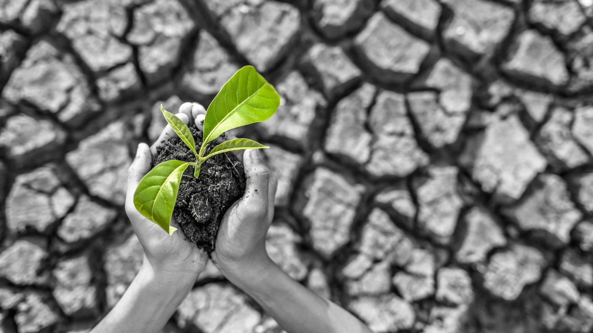 Társadalmi egyeztetésen a Bács-Kiskun vármegyei klímastratégia - image description