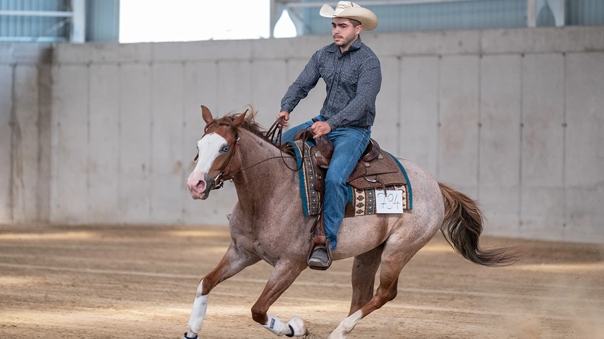 Félegyházi cowboyok - image description