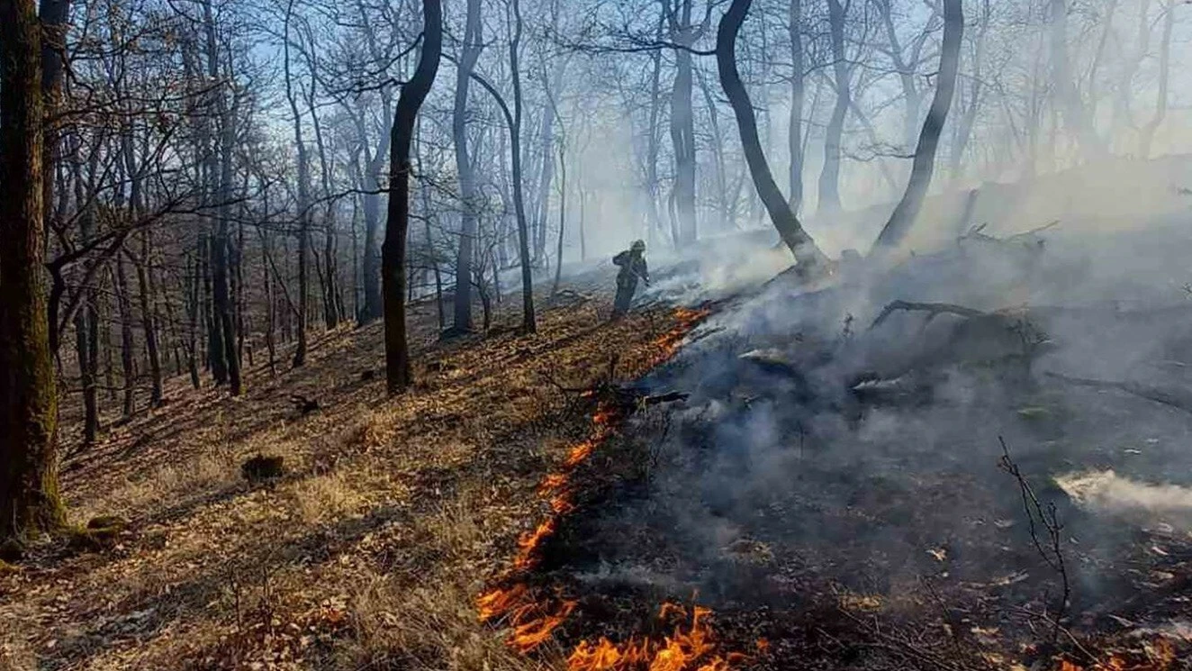 Tűzgyújtási tilalom - image description