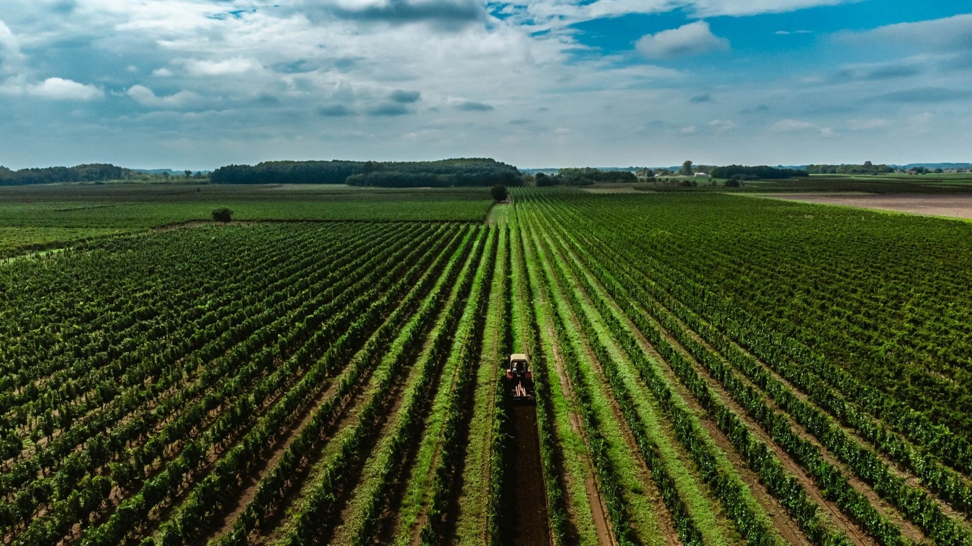 Évértékelő nem csak borászoknak  - image description