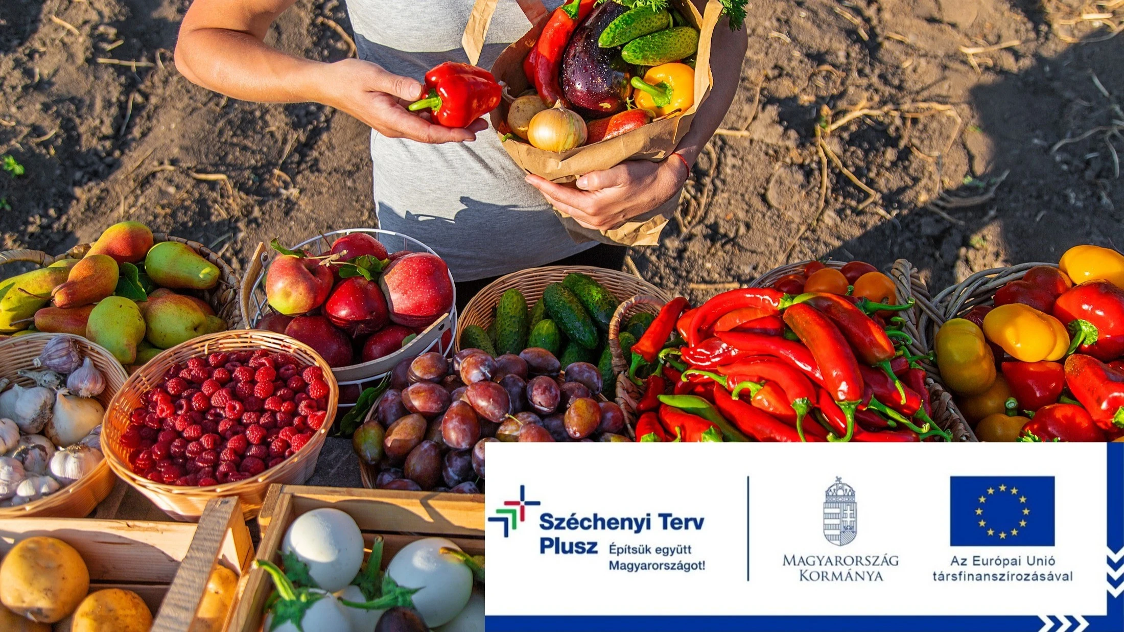 A helyi termékek szuperképessége: a termelő, a vásárló és a bolygó is nyer - image description