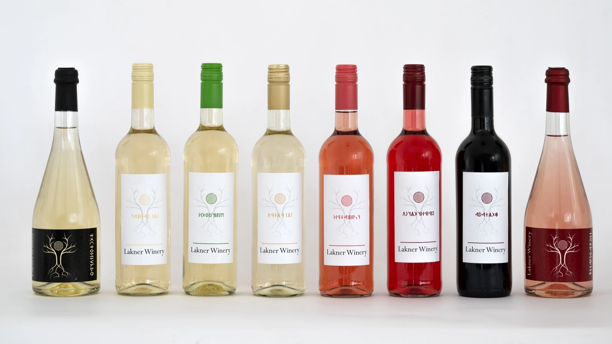  2025 vörösbora - Lakner Winery, Merlot - image description