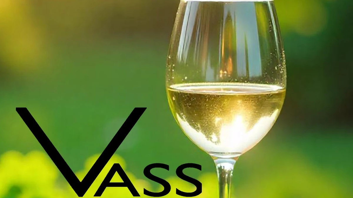 2025 fehérbora - Vass Borászat, Irsai Olivér - image description