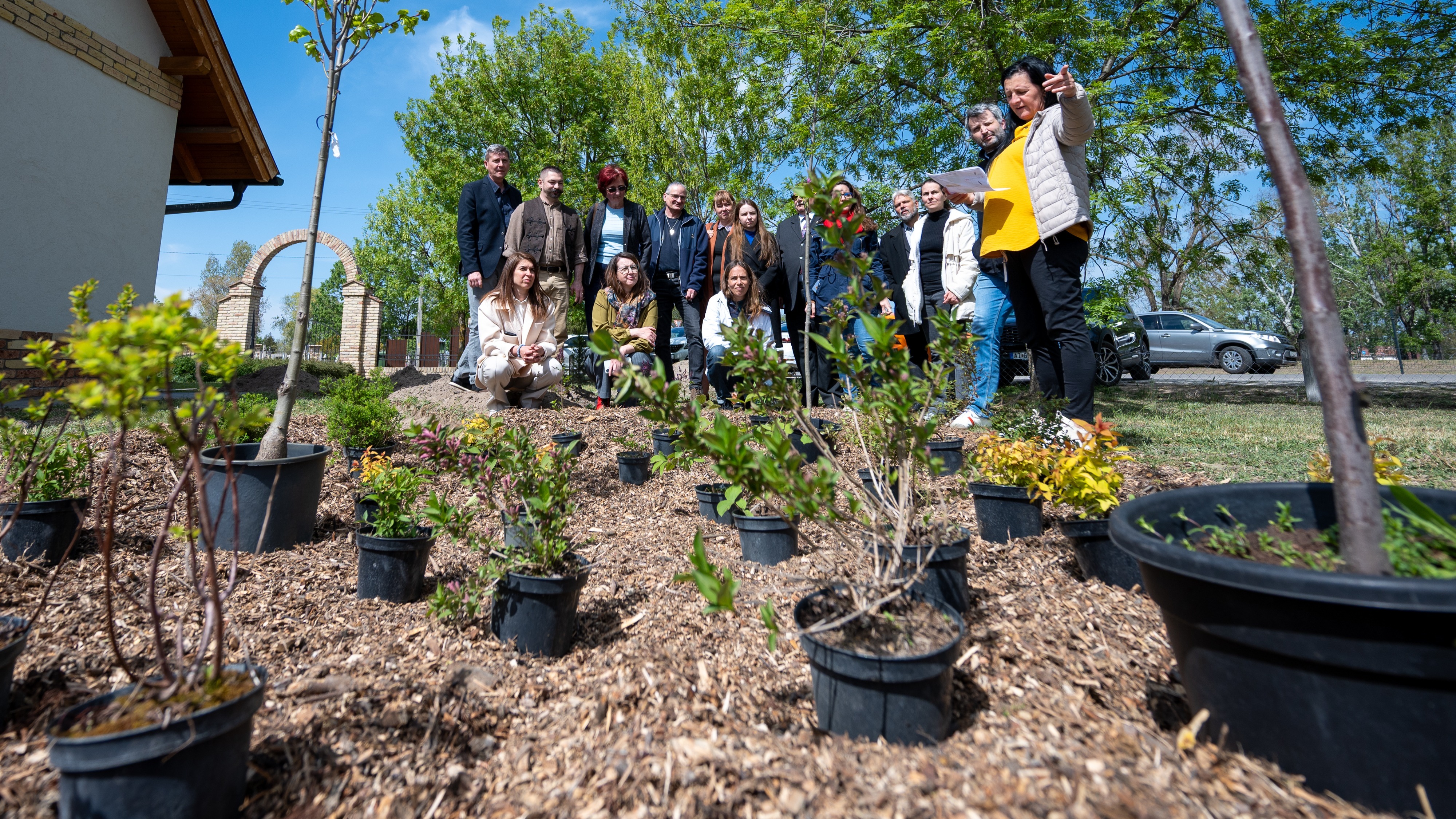 A képen egy esőkert látható, mulcsozott talajon különféle zöld növényekkel. A kép hátterében emberek állnak, akik az esőkertet tanulmányozzák. 