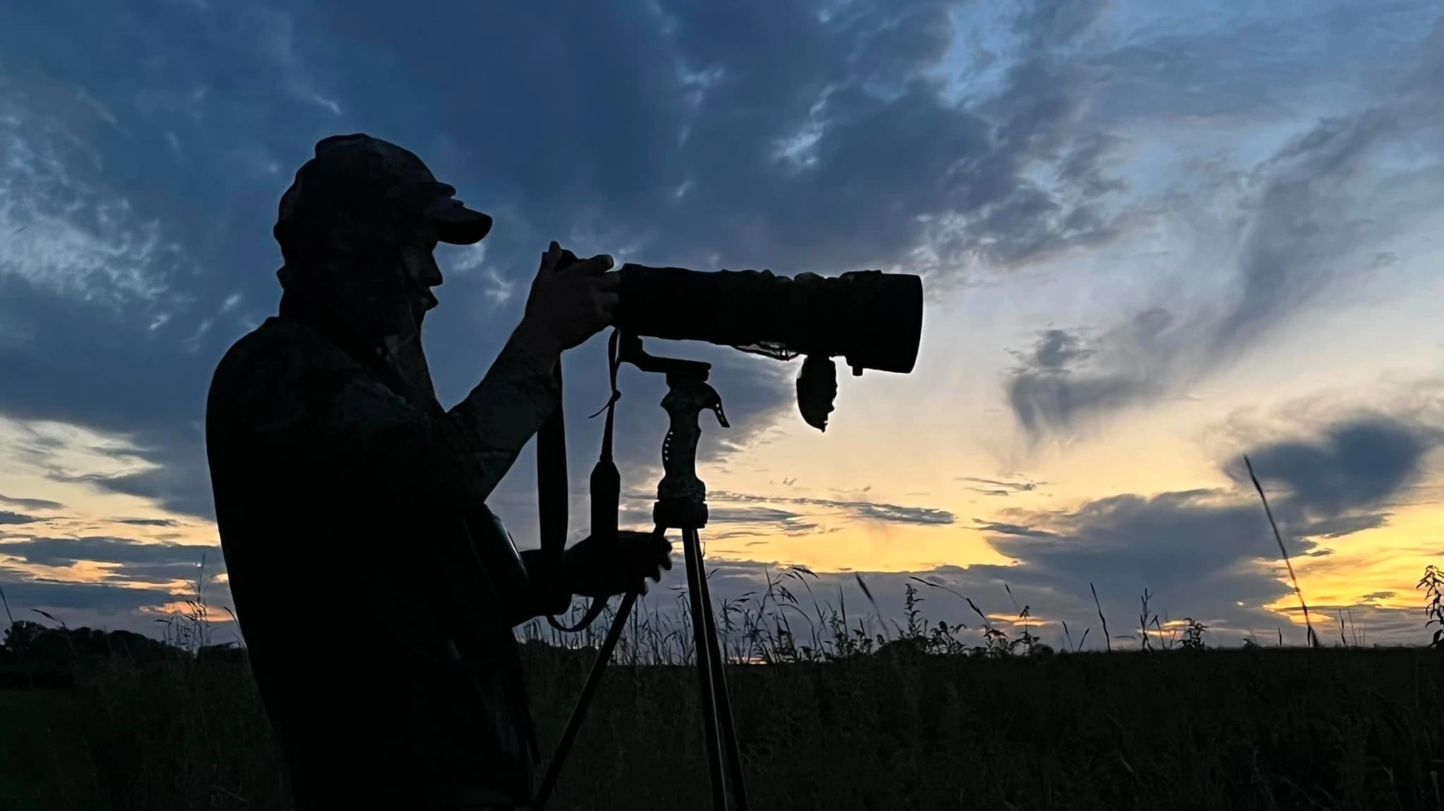 Szarvasoktól a medvékig: Virág Csaba fotókiállítása a Bor Bagolyban - image description