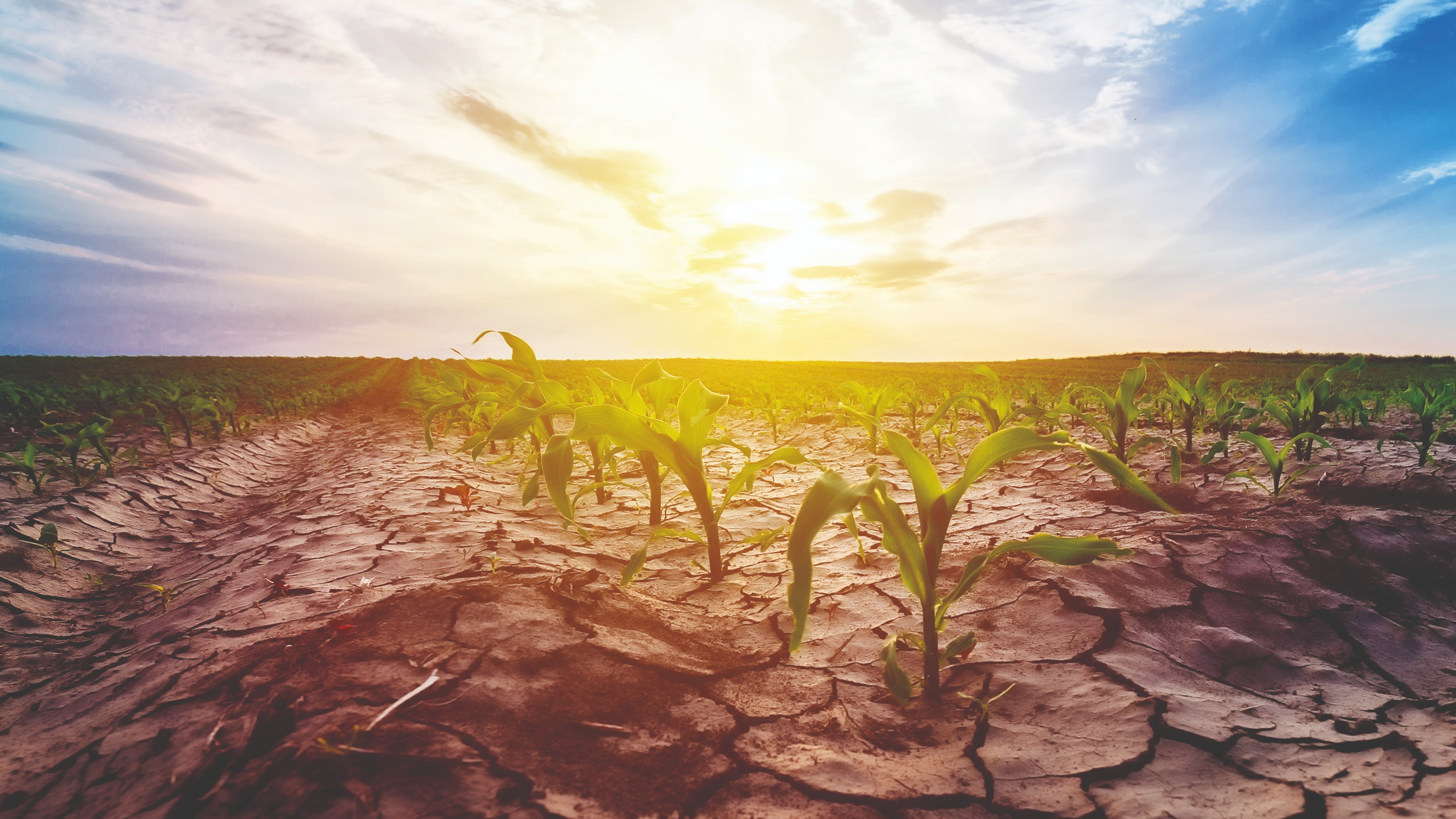MEGHÍVÓ - Bács-Kiskun Vármegyei Klímakonferencia kép