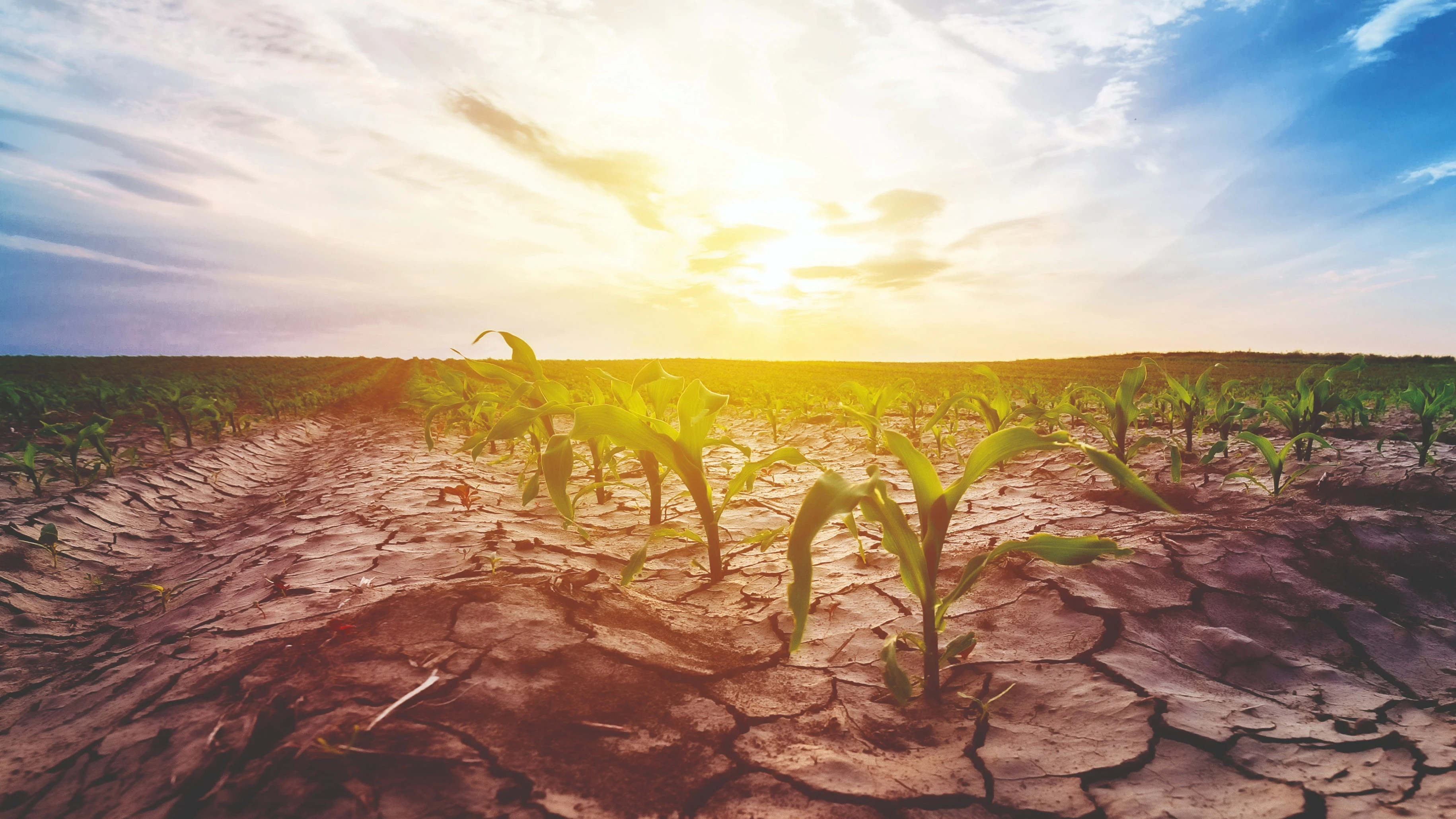 MEGHÍVÓ - Bács-Kiskun Vármegyei Klímakonferencia - image description