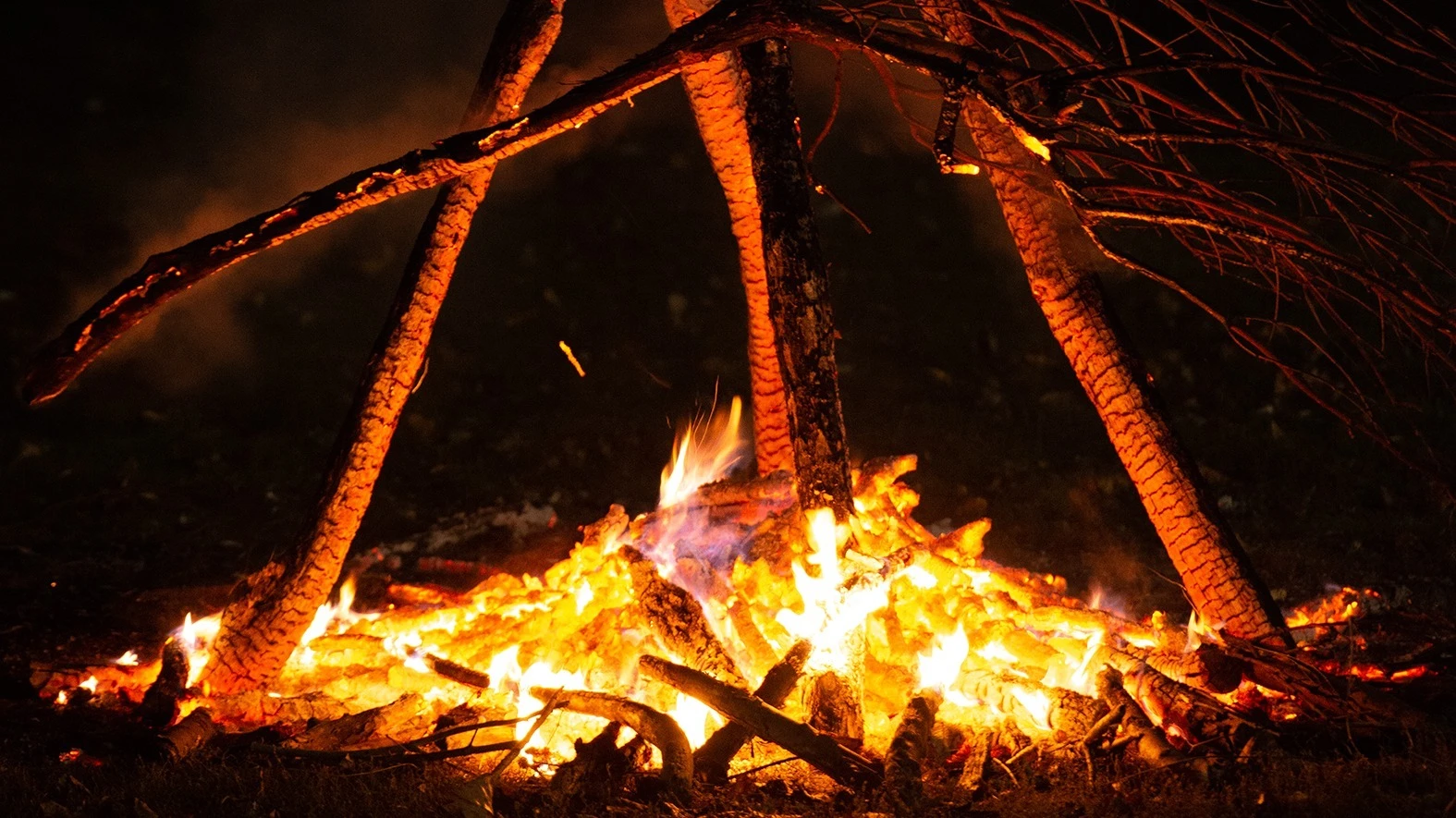 Őrtűz a Székely Autonómia Napja alkalmából - image description