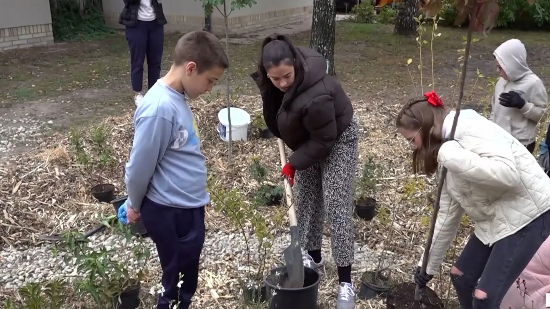 Esőkerteket minden településre!  - image description