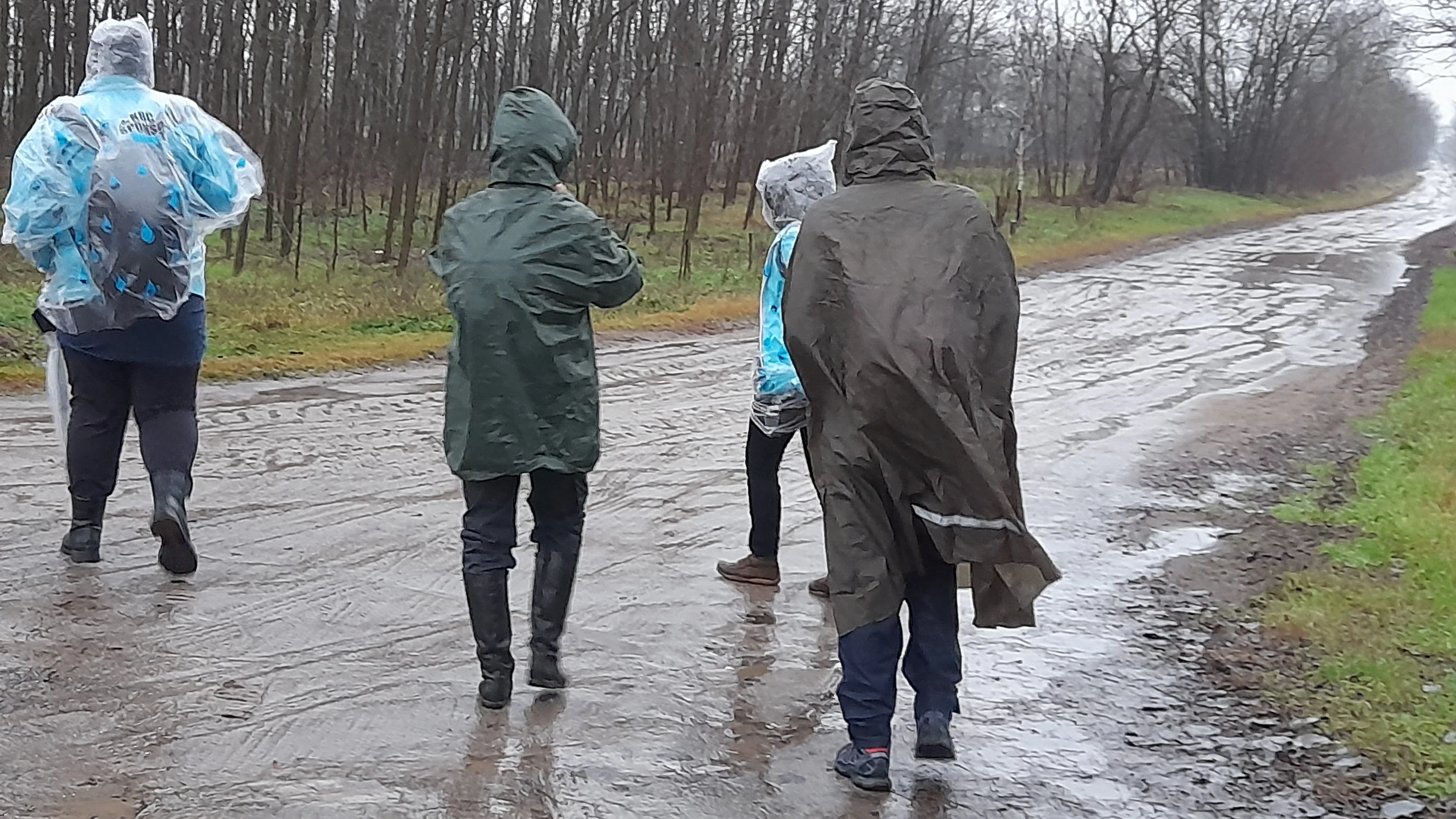 Nők zarándokolnak a hétvégén Pálosszentkútra  - image description