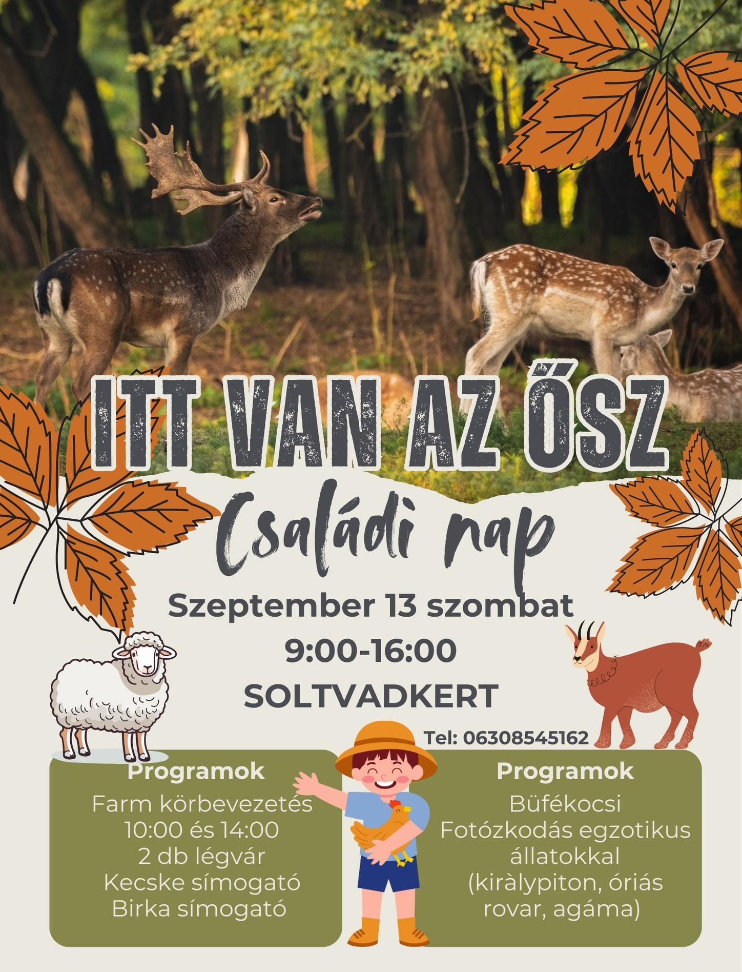 event card