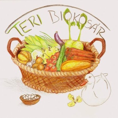 A képen felül "Teri Biokosár" felirat, alatta egy zöldségekkel teli fonott kosár látható.
