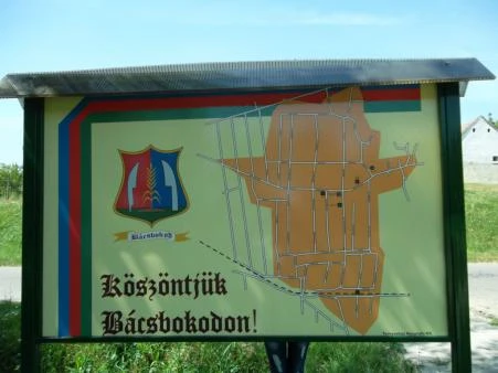 Bácsbokod - image description