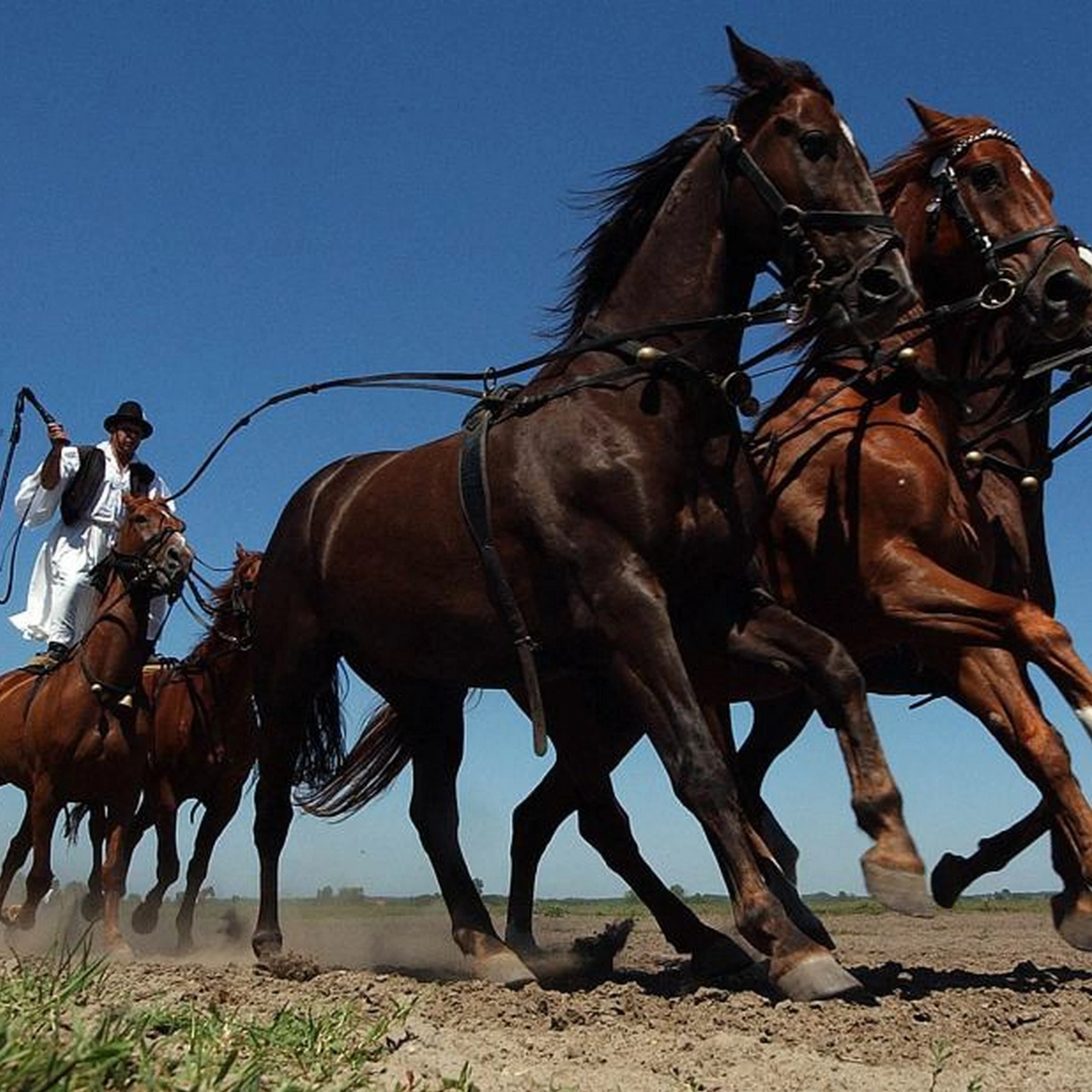 Bugacpuszta és a bugaci pásztorélet - image description