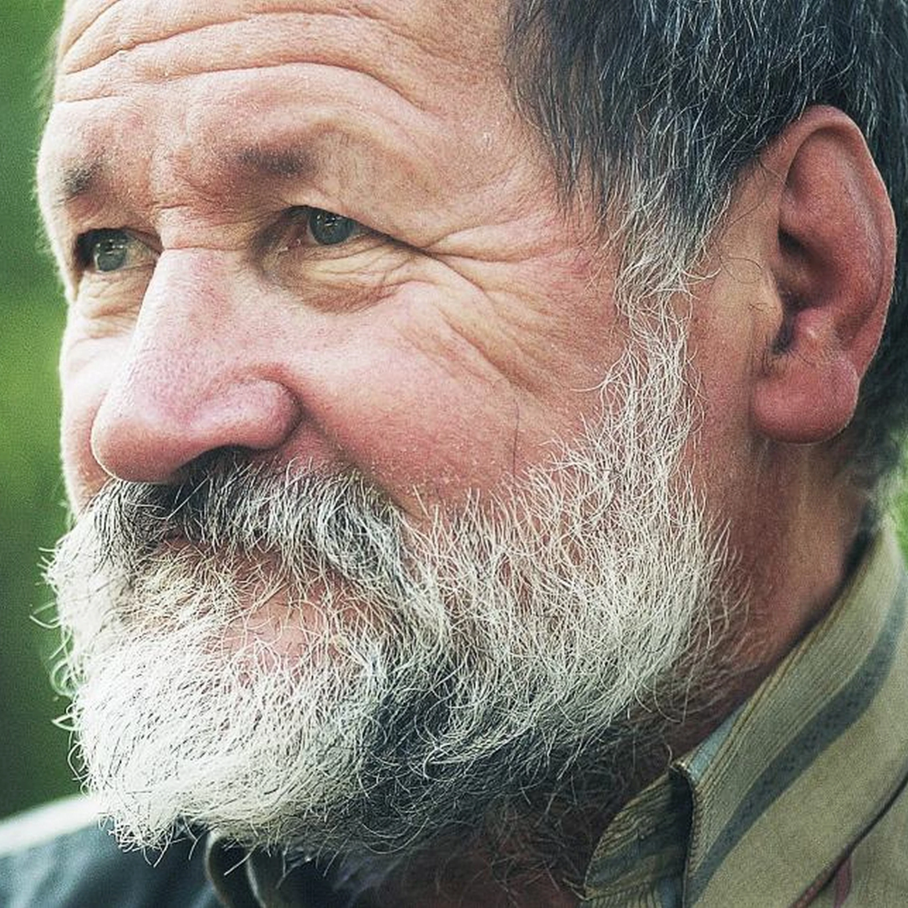 Buda Ferenc munkássága - image description