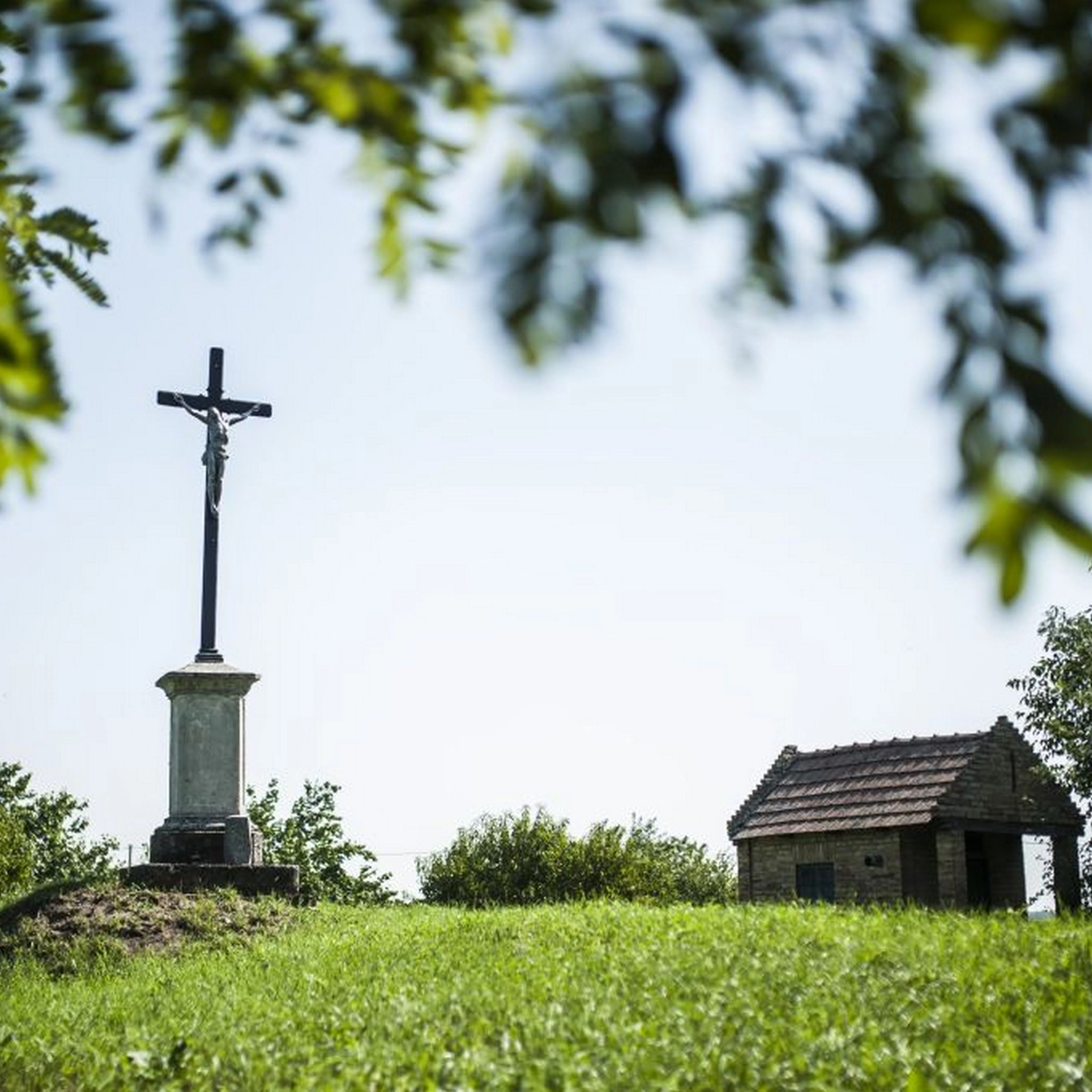 A Dunapataj-Szent Tamás domb Árpád-kori templomrom és temető - image description