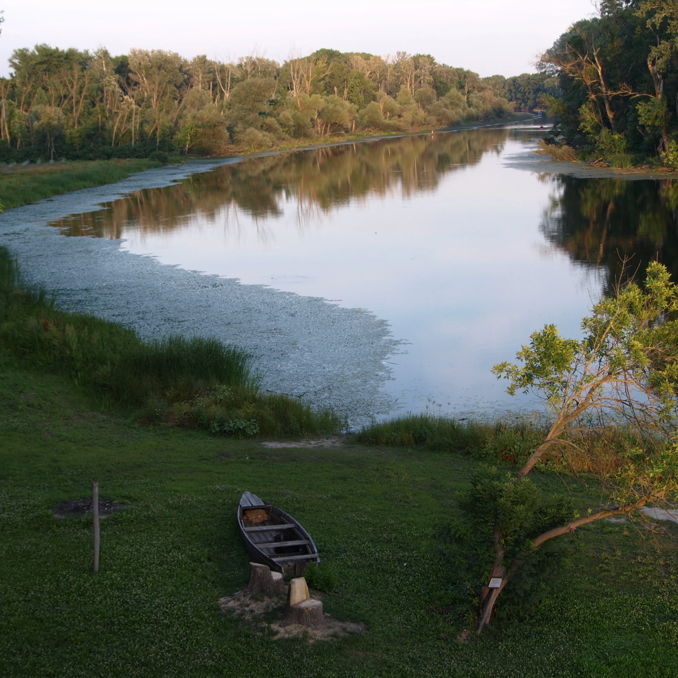 Tőserdő, valamint a szikrai Holt-Tisza természeti értékei - image description