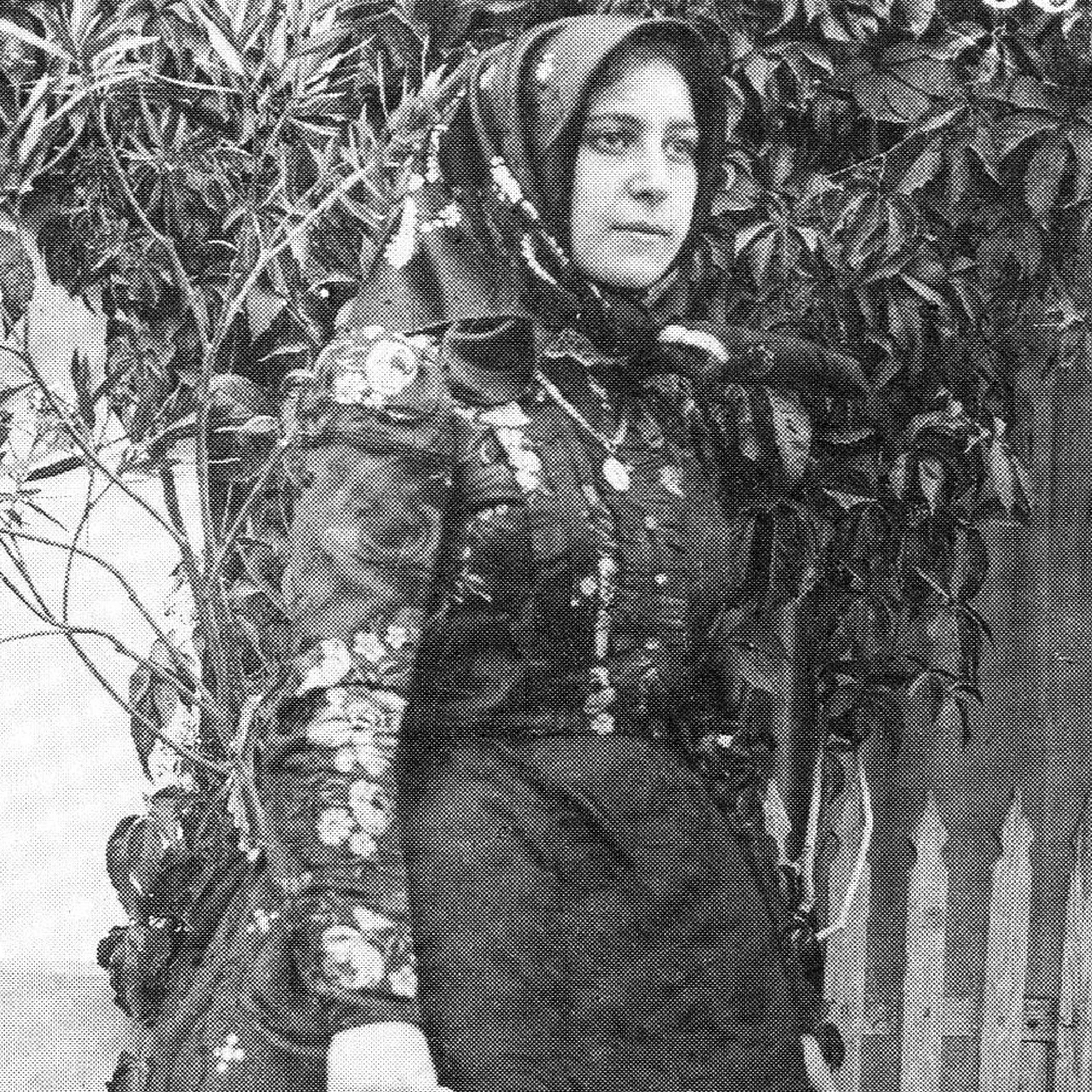 Travnik Mariska képei - image description