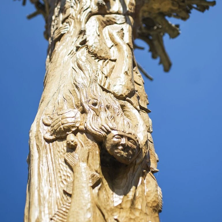 Szigetfői Őrfa - image description