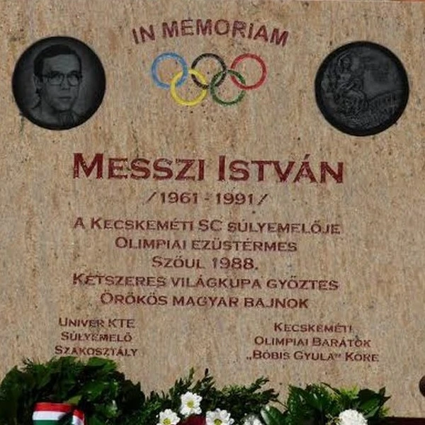 Messzi István életműve - image description