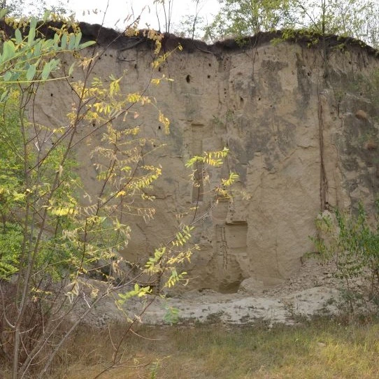Madarasi téglavető földtani képződmény természeti emlék - image description