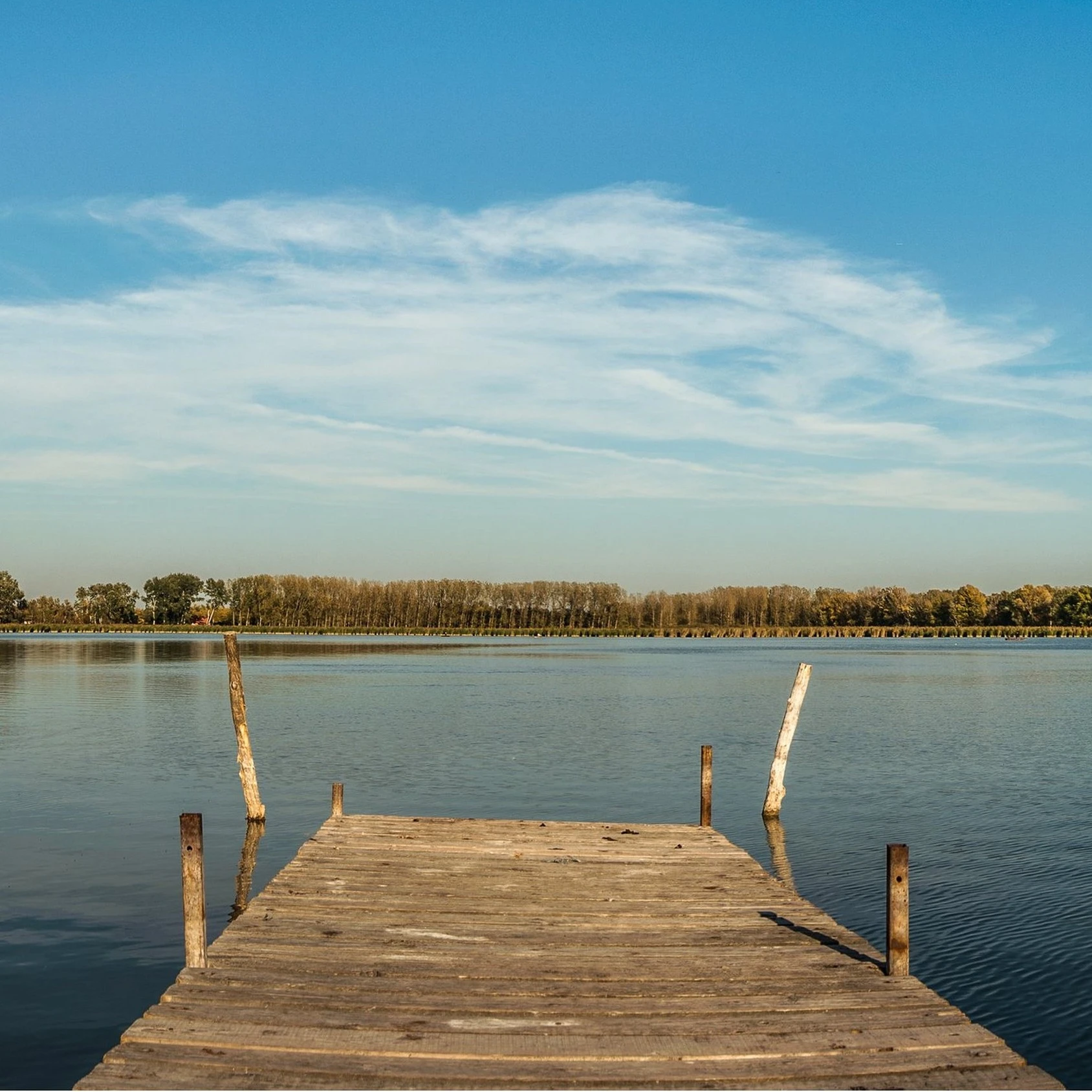 Vadkerti-tó - image description