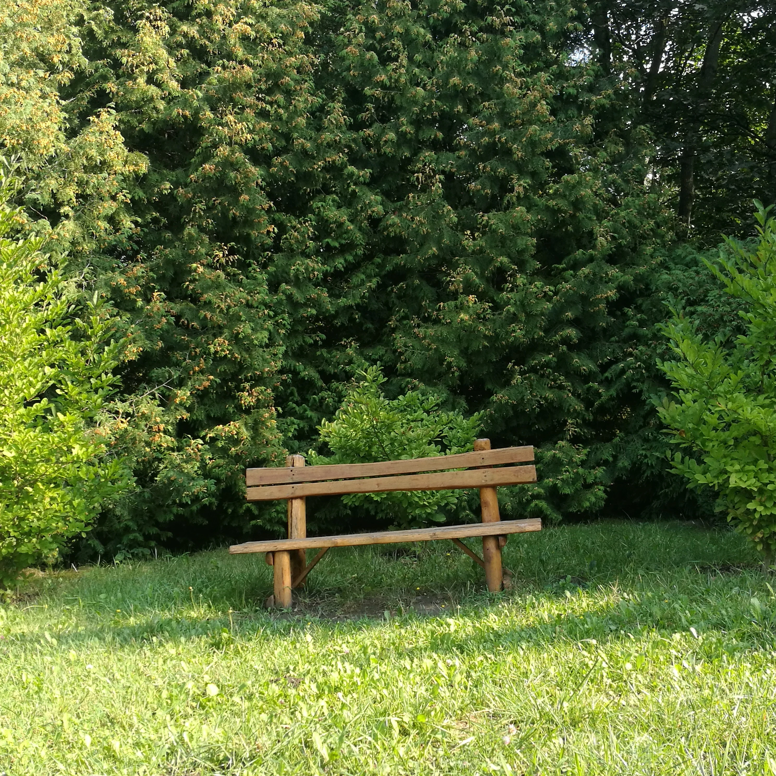 Kecskeméti Arborétum fa- és cserjegyűjteménye - image description